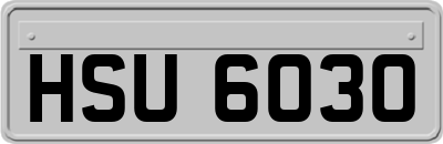 HSU6030
