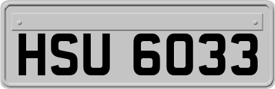 HSU6033