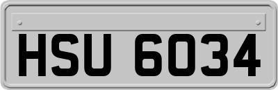 HSU6034