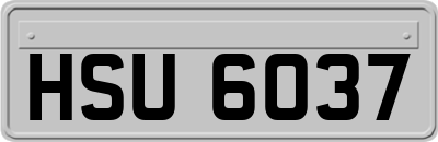 HSU6037