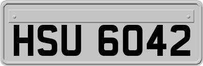 HSU6042