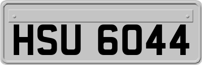HSU6044