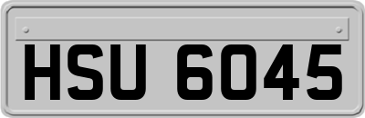 HSU6045