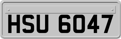 HSU6047