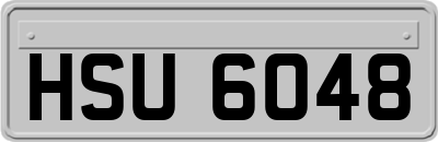 HSU6048