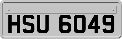 HSU6049