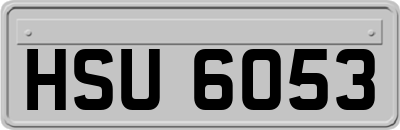 HSU6053