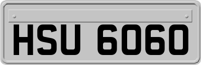 HSU6060