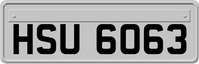 HSU6063