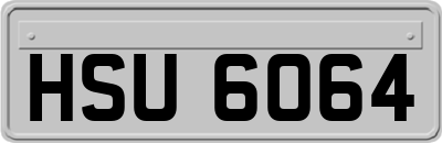 HSU6064