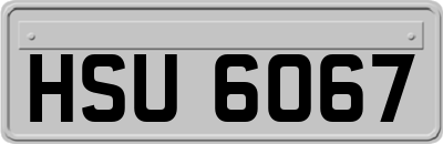 HSU6067