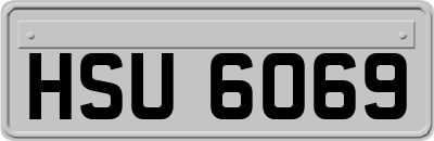 HSU6069