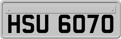 HSU6070