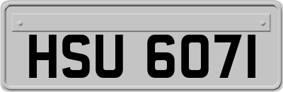 HSU6071