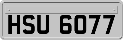 HSU6077