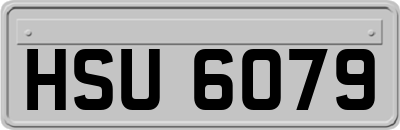 HSU6079