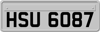 HSU6087