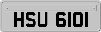 HSU6101