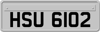 HSU6102