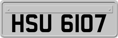 HSU6107