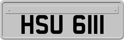 HSU6111