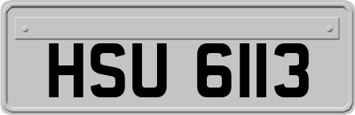HSU6113