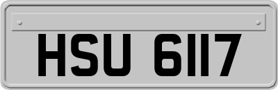 HSU6117