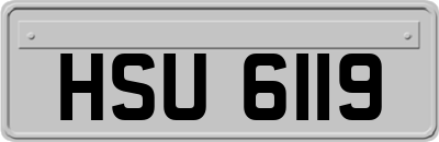 HSU6119