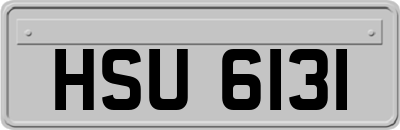 HSU6131