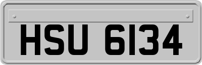 HSU6134