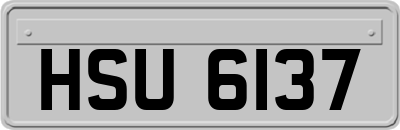 HSU6137