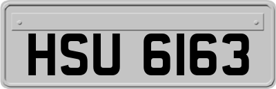 HSU6163