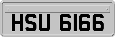 HSU6166