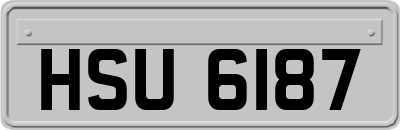HSU6187