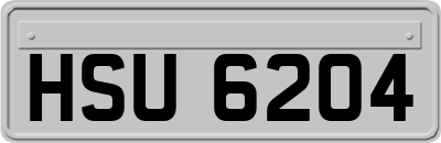 HSU6204