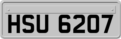 HSU6207