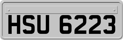 HSU6223