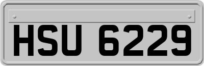 HSU6229