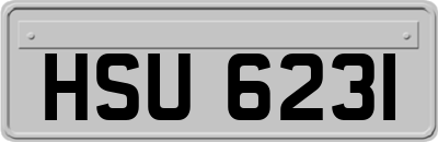 HSU6231