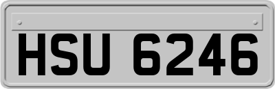HSU6246