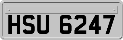 HSU6247
