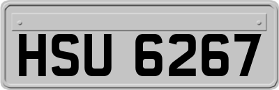 HSU6267