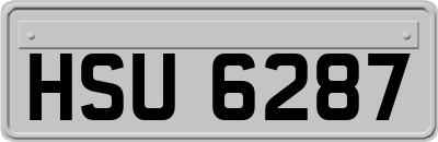 HSU6287