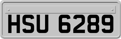 HSU6289