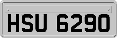 HSU6290
