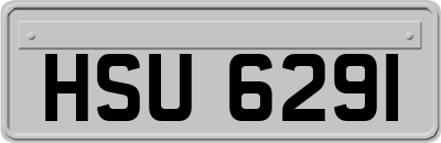 HSU6291