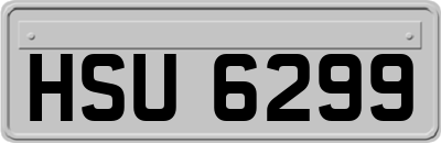 HSU6299
