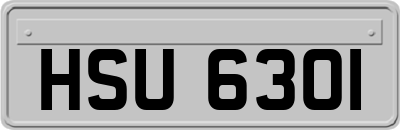 HSU6301