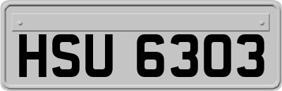 HSU6303
