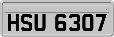 HSU6307
